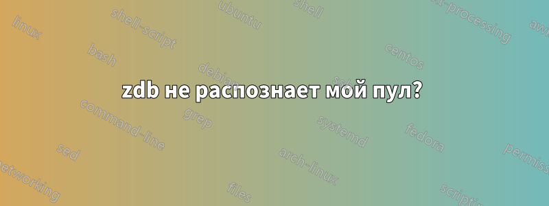 zdb не распознает мой пул?