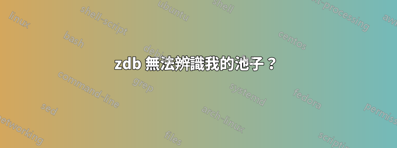 zdb 無法辨識我的池子？