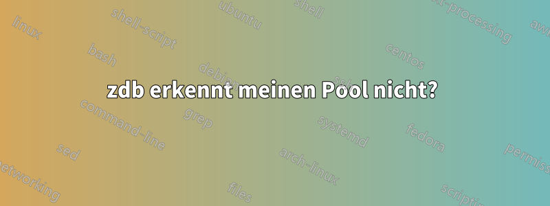 zdb erkennt meinen Pool nicht?