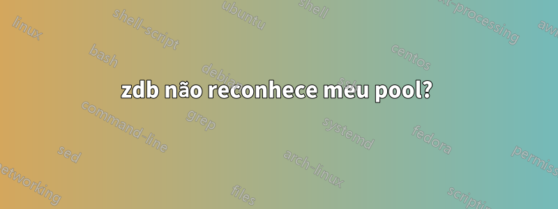 zdb não reconhece meu pool?