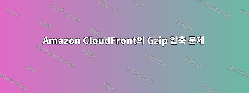 Amazon CloudFront의 Gzip 압축 문제