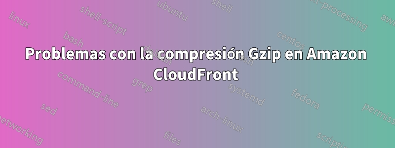 Problemas con la compresión Gzip en Amazon CloudFront