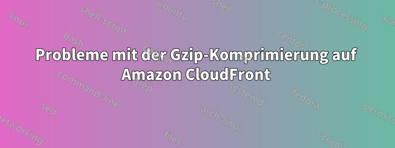 Probleme mit der Gzip-Komprimierung auf Amazon CloudFront