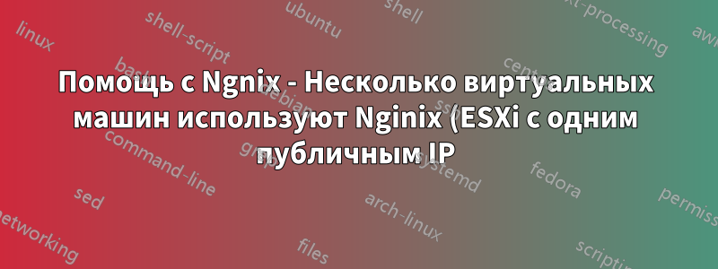 Помощь с Ngnix - Несколько виртуальных машин используют Nginix (ESXi с одним публичным IP)?
