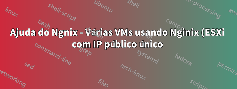 Ajuda do Ngnix - Várias VMs usando Nginix (ESXi com IP público único)?