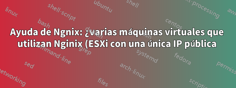 Ayuda de Ngnix: ¿varias máquinas virtuales que utilizan Nginix (ESXi con una única IP pública)?