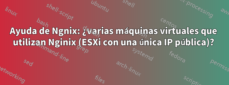 Ayuda de Ngnix: ¿varias máquinas virtuales que utilizan Nginix (ESXi con una única IP pública)?