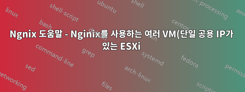 Ngnix 도움말 - Nginix를 사용하는 여러 VM(단일 공용 IP가 있는 ESXi)?