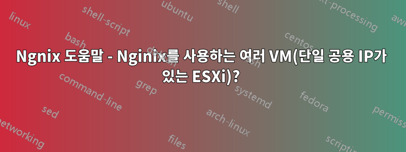 Ngnix 도움말 - Nginix를 사용하는 여러 VM(단일 공용 IP가 있는 ESXi)?