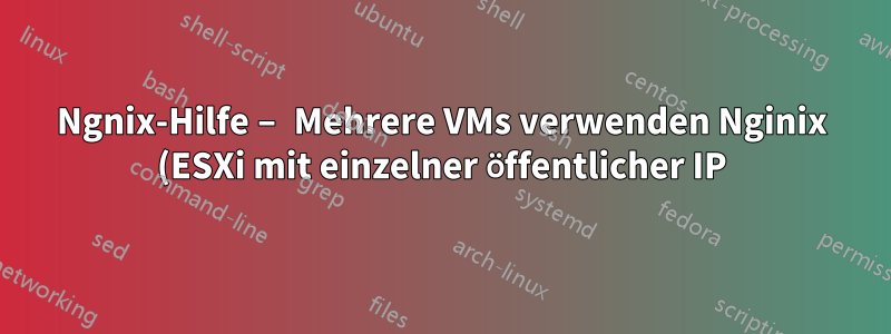 Ngnix-Hilfe – Mehrere VMs verwenden Nginix (ESXi mit einzelner öffentlicher IP)?