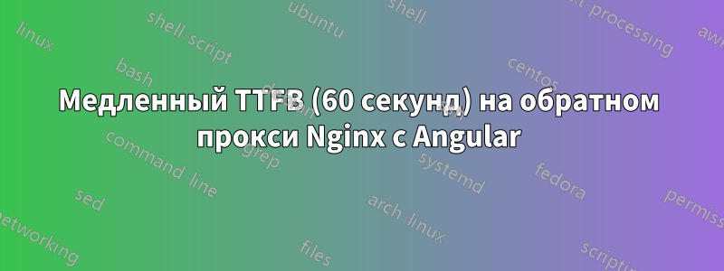 Медленный TTFB (60 секунд) на обратном прокси Nginx с Angular
