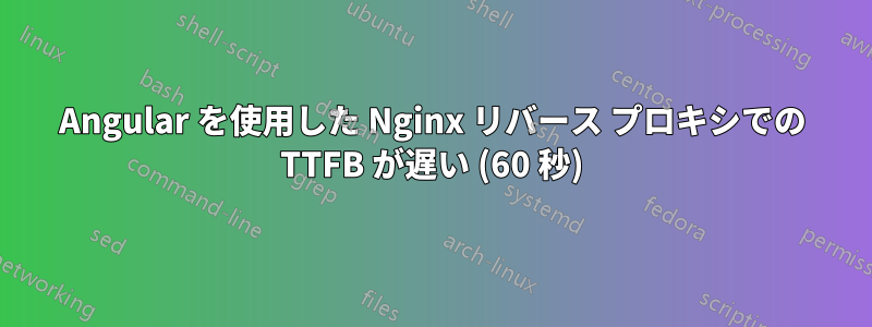 Angular を使用した Nginx リバース プロキシでの TTFB が遅い (60 秒)