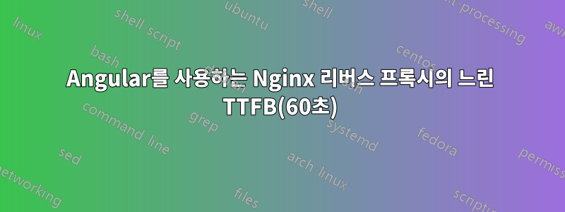 Angular를 사용하는 Nginx 리버스 프록시의 느린 TTFB(60초)