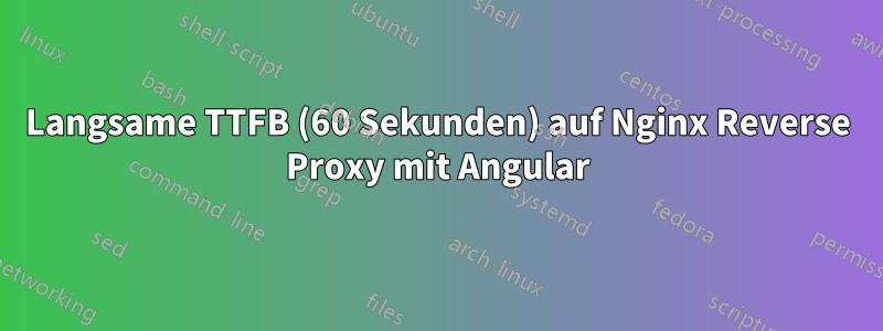 Langsame TTFB (60 Sekunden) auf Nginx Reverse Proxy mit Angular