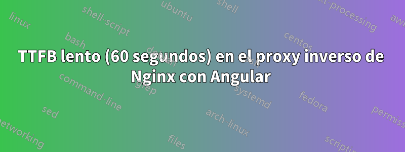 TTFB lento (60 segundos) en el proxy inverso de Nginx con Angular
