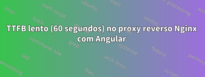 TTFB lento (60 segundos) no proxy reverso Nginx com Angular