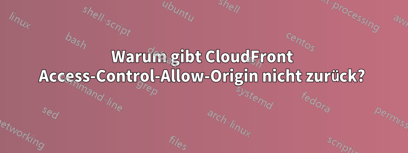Warum gibt CloudFront Access-Control-Allow-Origin nicht zurück?