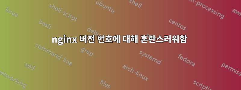 nginx 버전 번호에 대해 혼란스러워함