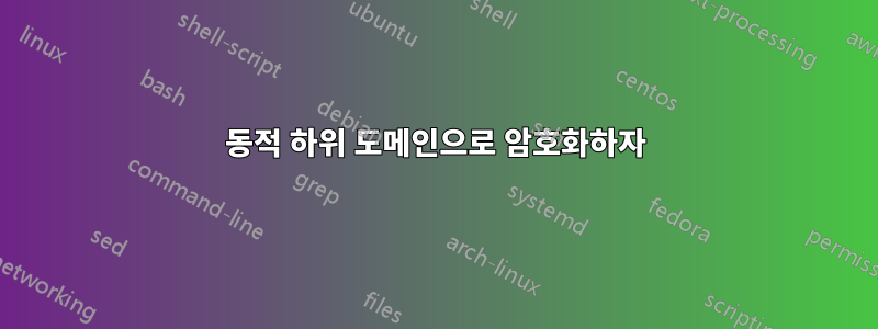 동적 하위 도메인으로 암호화하자
