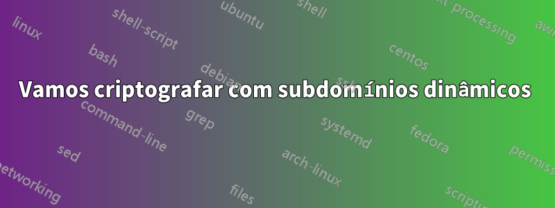 Vamos criptografar com subdomínios dinâmicos