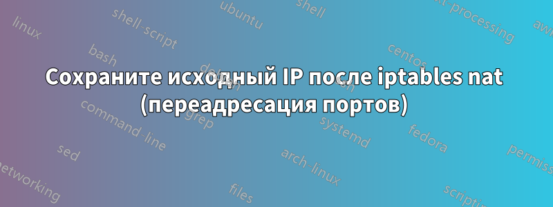 Сохраните исходный IP после iptables nat (переадресация портов)