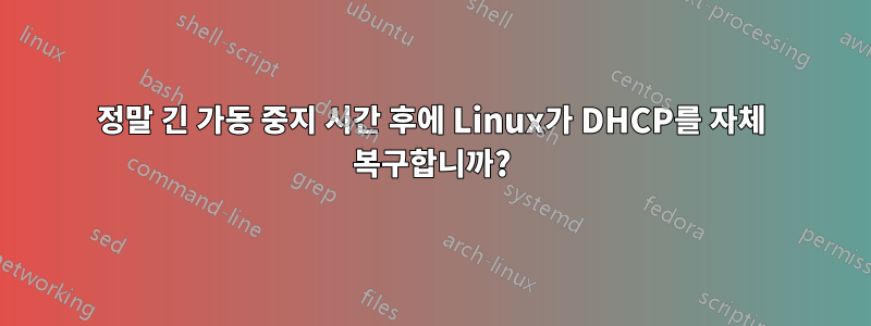정말 긴 가동 중지 시간 후에 Linux가 DHCP를 자체 복구합니까?