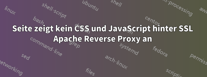 Seite zeigt kein CSS und JavaScript hinter SSL Apache Reverse Proxy an