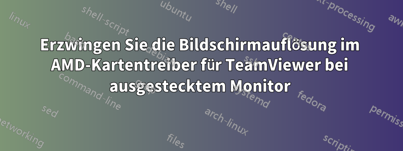Erzwingen Sie die Bildschirmauflösung im AMD-Kartentreiber für TeamViewer bei ausgestecktem Monitor