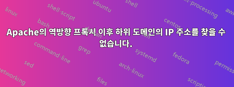Apache의 역방향 프록시 이후 하위 도메인의 IP 주소를 찾을 수 없습니다.
