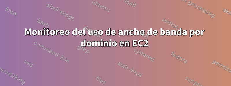 Monitoreo del uso de ancho de banda por dominio en EC2