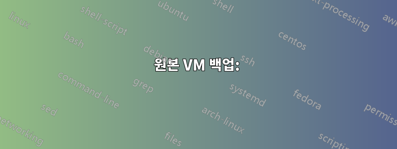 원본 VM 백업: