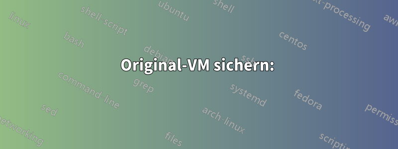 Original-VM sichern: