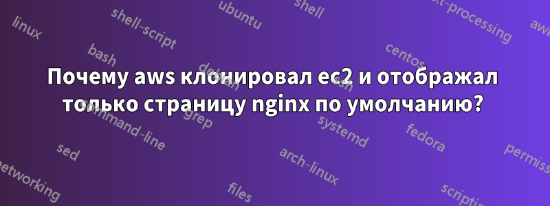 Почему aws клонировал ec2 и отображал только страницу nginx по умолчанию?
