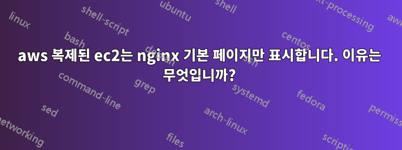 aws 복제된 ec2는 nginx 기본 페이지만 표시합니다. 이유는 무엇입니까?