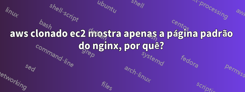 aws clonado ec2 mostra apenas a página padrão do nginx, por quê?