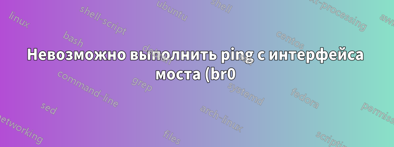 Невозможно выполнить ping с интерфейса моста (br0) на IP-адрес другого интерфейса подсети в виртуальной машине Oracle Virtual Box