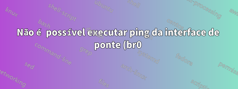 Não é possível executar ping da interface de ponte (br0) para outro IP de interface de sub-rede no Oracle Virtual Box VM
