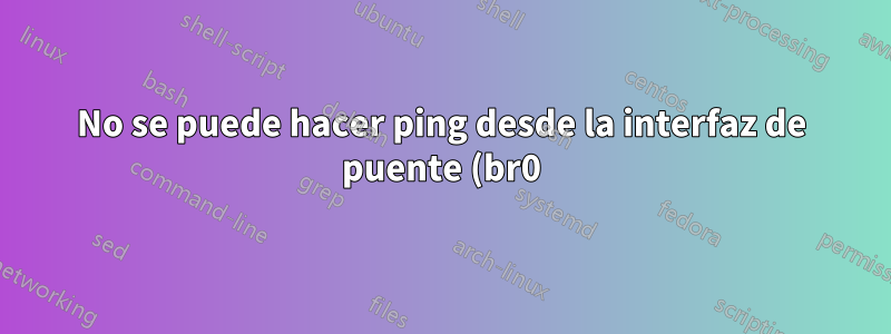 No se puede hacer ping desde la interfaz de puente (br0) a otra IP de interfaz de subred en Oracle Virtual Box VM