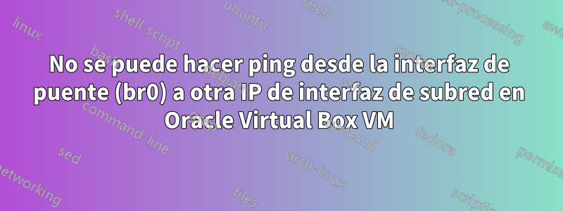 No se puede hacer ping desde la interfaz de puente (br0) a otra IP de interfaz de subred en Oracle Virtual Box VM