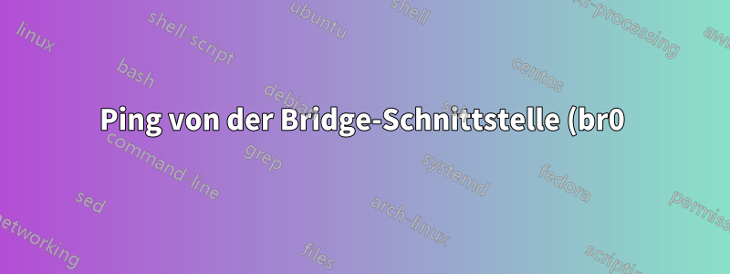Ping von der Bridge-Schnittstelle (br0) zu einer anderen Subnetz-Schnittstellen-IP in Oracle Virtual Box VM nicht möglich