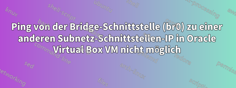 Ping von der Bridge-Schnittstelle (br0) zu einer anderen Subnetz-Schnittstellen-IP in Oracle Virtual Box VM nicht möglich
