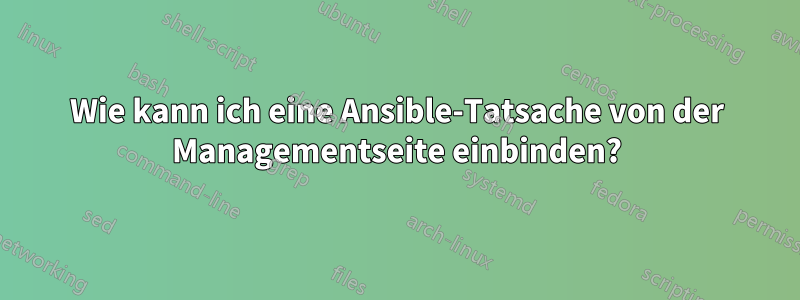 Wie kann ich eine Ansible-Tatsache von der Managementseite einbinden?