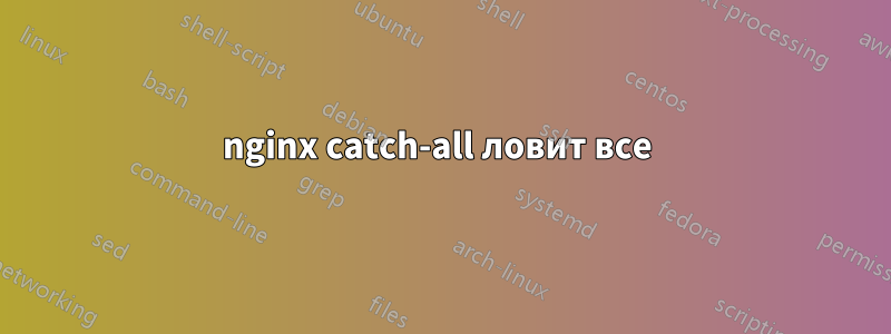 nginx catch-all ловит все 