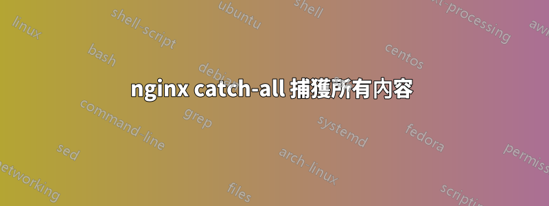 nginx catch-all 捕獲所有內容
