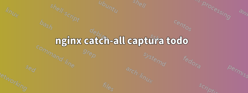 nginx catch-all captura todo