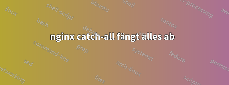 nginx catch-all fängt alles ab