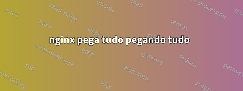 nginx pega tudo pegando tudo