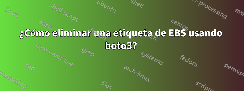 ¿Cómo eliminar una etiqueta de EBS usando boto3?