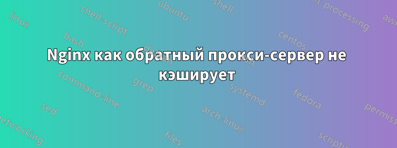 Nginx как обратный прокси-сервер не кэширует