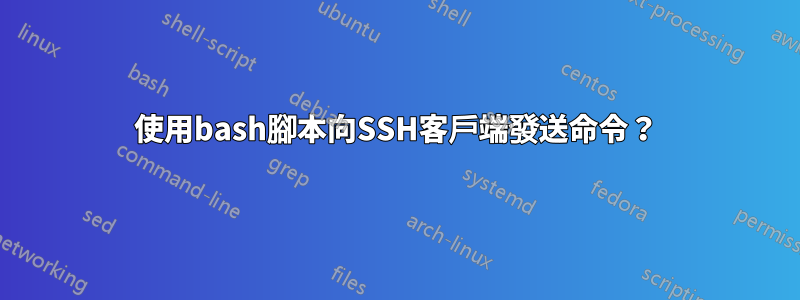 使用bash腳本向SSH客戶端發送命令？